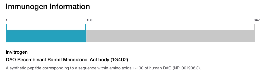 DAO Recombinant Rabbit Monoclonal Antibody (1G4U2)