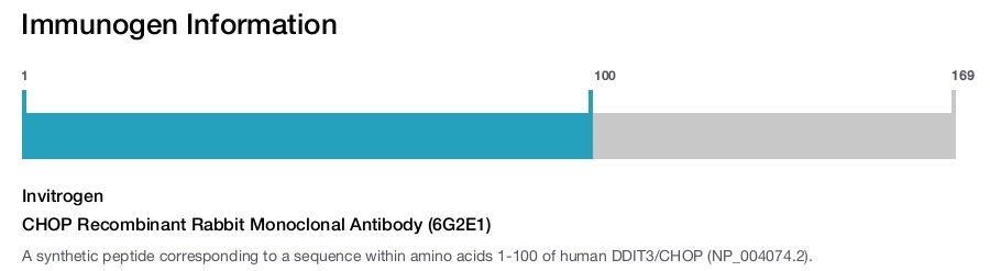 CHOP Recombinant Rabbit Monoclonal Antibody (6G2E1)