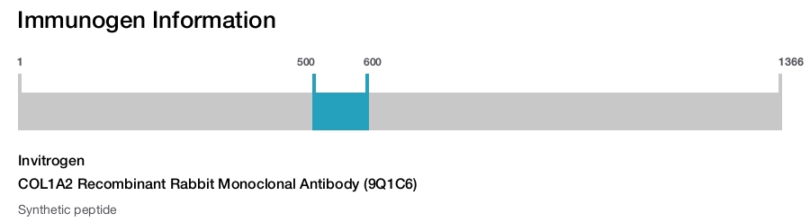 COL1A2 Recombinant Rabbit Monoclonal Antibody (9Q1C6)