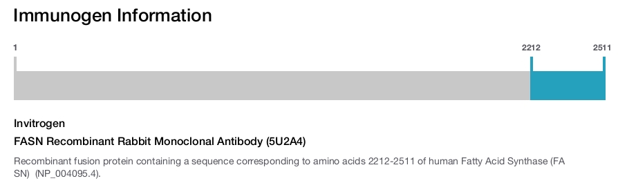 FASN Recombinant Rabbit Monoclonal Antibody (5U2A4)