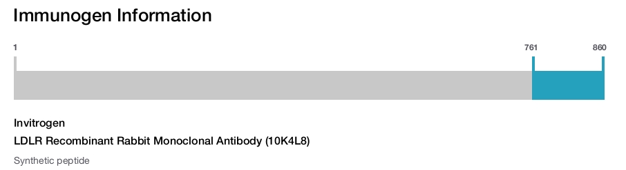 LDLR Recombinant Rabbit Monoclonal Antibody (10K4L8)