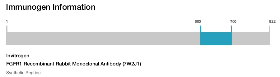 FGFR1 Recombinant Rabbit Monoclonal Antibody (7W2J1)