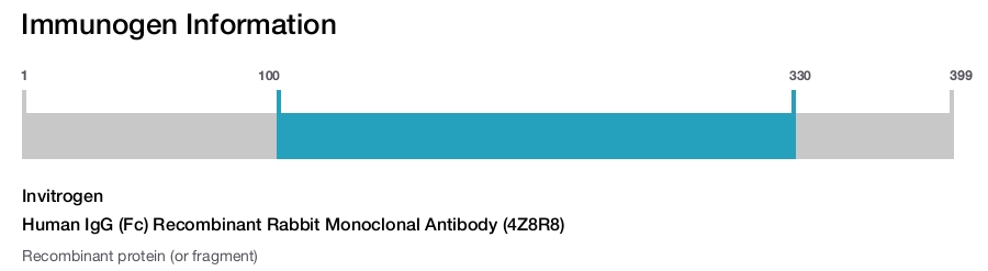 Human IgG (Fc) Recombinant Rabbit Monoclonal Antibody (4Z8R8)