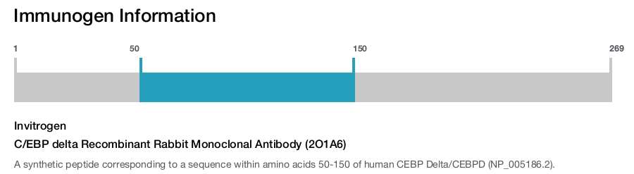C/EBP delta Recombinant Rabbit Monoclonal Antibody (2O1A6)