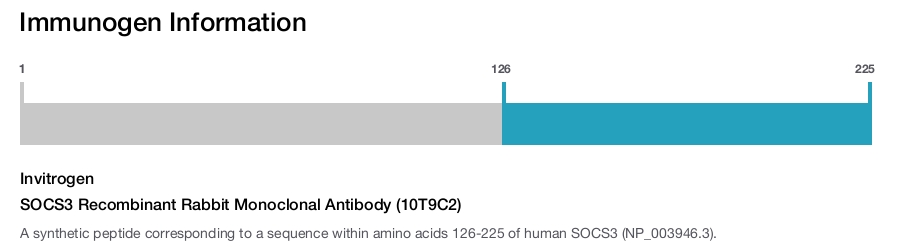 SOCS3 Recombinant Rabbit Monoclonal Antibody (10T9C2)