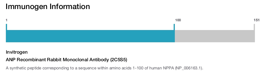 ANP Recombinant Rabbit Monoclonal Antibody (2C5S5)