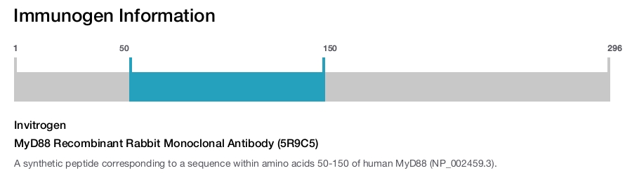 MyD88 Recombinant Rabbit Monoclonal Antibody (5R9C5)