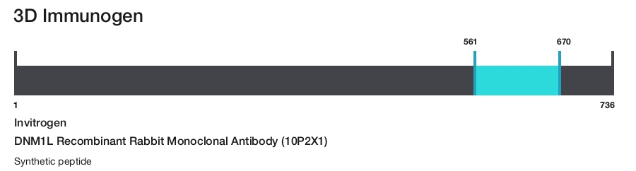 DNM1L Recombinant Rabbit Monoclonal Antibody (10P2X1)