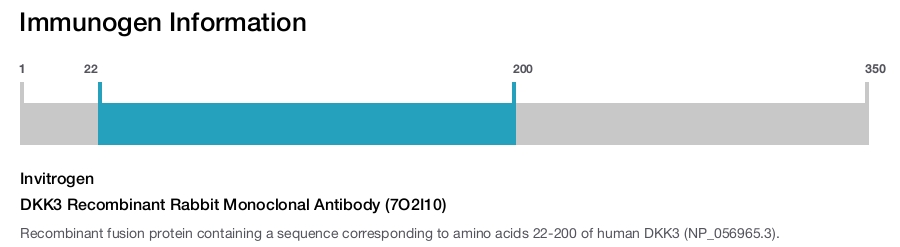 DKK3 Recombinant Rabbit Monoclonal Antibody (7O2I10)