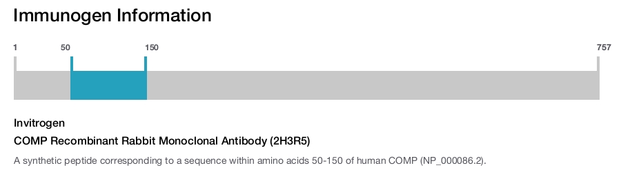 COMP Recombinant Rabbit Monoclonal Antibody (2H3R5)