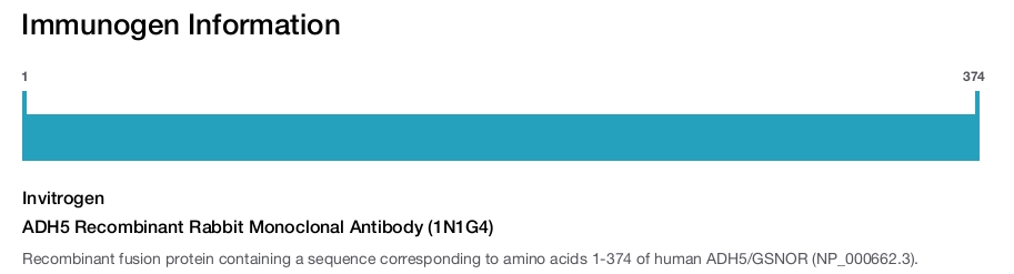 ADH5 Recombinant Rabbit Monoclonal Antibody (1N1G4)