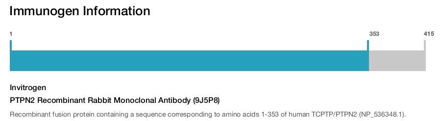 PTPN2 Recombinant Rabbit Monoclonal Antibody (9J5P8)