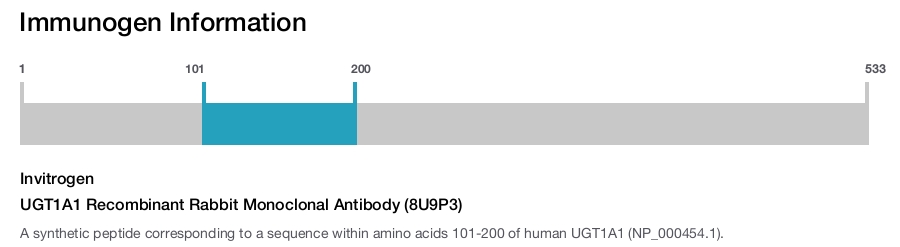 UGT1A1 Recombinant Rabbit Monoclonal Antibody (8U9P3)