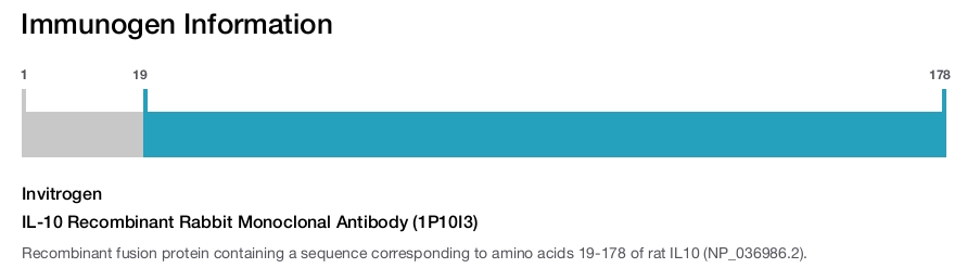 IL-10 Recombinant Rabbit Monoclonal Antibody (1P10I3)
