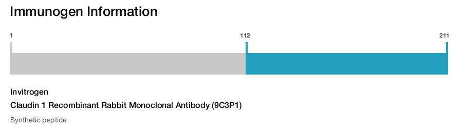 Claudin 1 Recombinant Rabbit Monoclonal Antibody (9C3P1)
