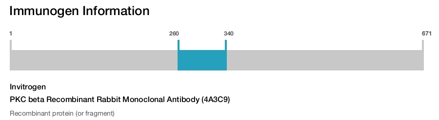 PKC beta Recombinant Rabbit Monoclonal Antibody (4A3C9)