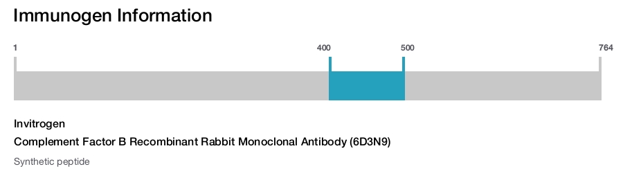 Complement Factor B Recombinant Rabbit Monoclonal Antibody (6D3N9)