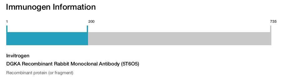 DGKA Recombinant Rabbit Monoclonal Antibody (5T6O5)
