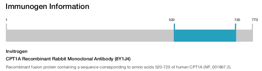 CPT1A Recombinant Rabbit Monoclonal Antibody (8Y1J4)