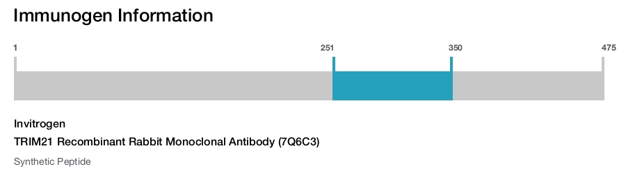 TRIM21 Recombinant Rabbit Monoclonal Antibody (7Q6C3)