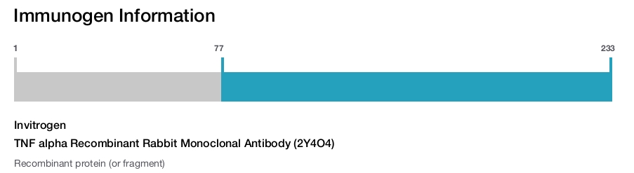 TNF alpha Recombinant Rabbit Monoclonal Antibody (2Y4O4)