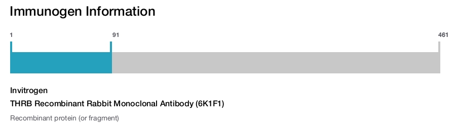 THRB Recombinant Rabbit Monoclonal Antibody (6K1F1)