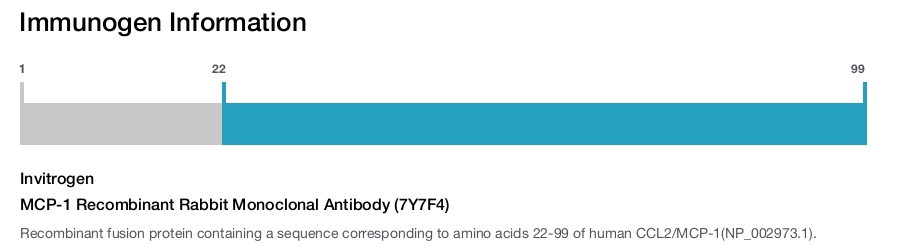 MCP-1 Recombinant Rabbit Monoclonal Antibody (7Y7F4)