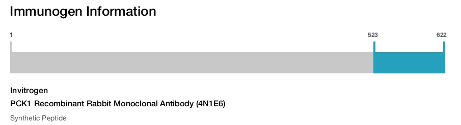 PCK1 Recombinant Rabbit Monoclonal Antibody (4N1E6)