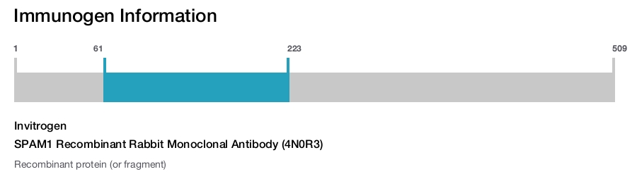 SPAM1 Recombinant Rabbit Monoclonal Antibody (4N0R3)