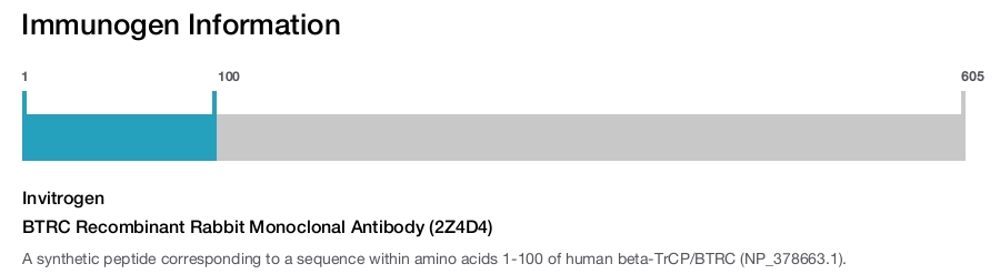 BTRC Recombinant Rabbit Monoclonal Antibody (2Z4D4)