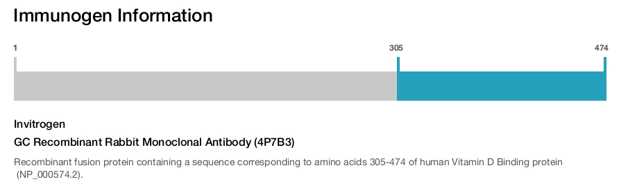 GC Recombinant Rabbit Monoclonal Antibody (4P7B3)