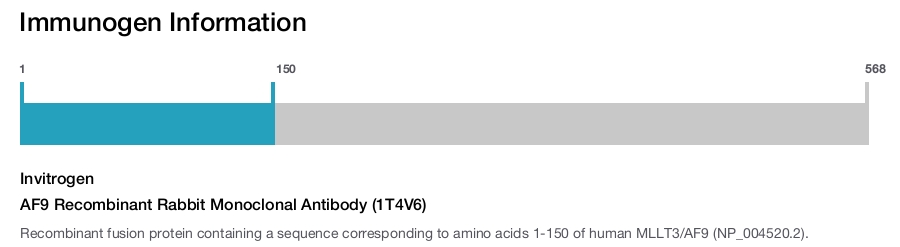 AF9 Recombinant Rabbit Monoclonal Antibody (1T4V6)
