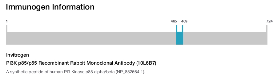 PI3K p85/p55 Recombinant Rabbit Monoclonal Antibody (10L6B7)