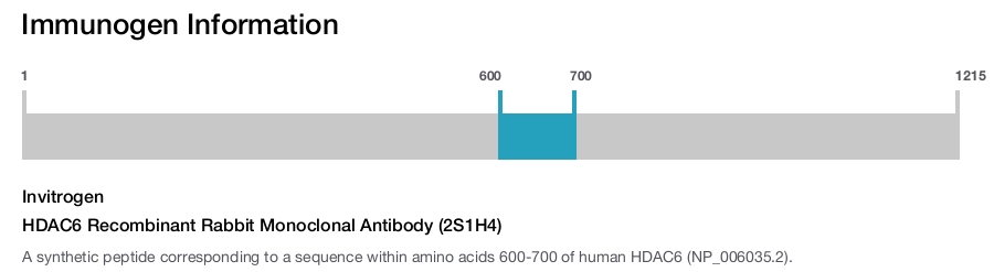 HDAC6 Recombinant Rabbit Monoclonal Antibody (2S1H4)