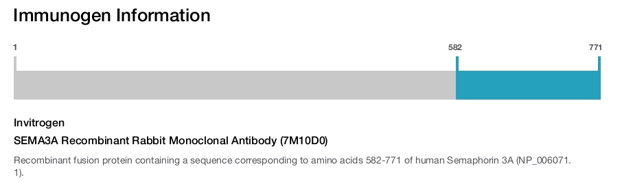 SEMA3A Recombinant Rabbit Monoclonal Antibody (7M10D0)