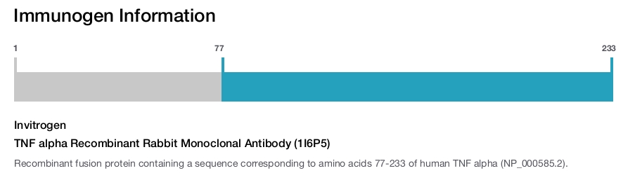 TNF alpha Recombinant Rabbit Monoclonal Antibody (1I6P5)