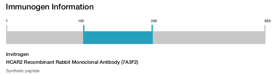 HCAR2 Recombinant Rabbit Monoclonal Antibody (7A3F2)