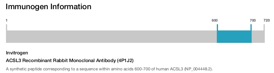 ACSL3 Recombinant Rabbit Monoclonal Antibody (4P1J2)