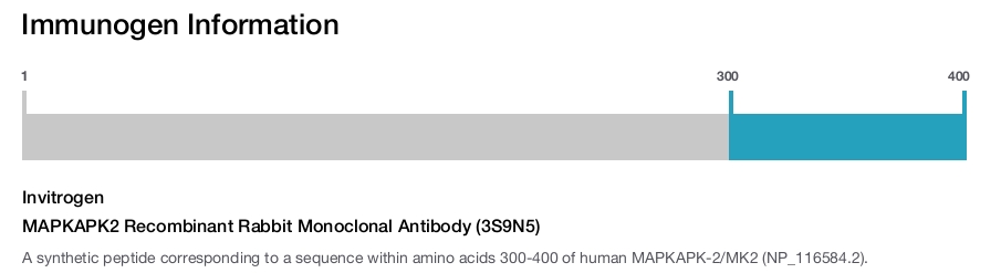 MAPKAPK2 Recombinant Rabbit Monoclonal Antibody (3S9N5)