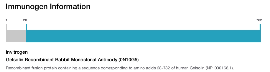 Gelsolin Recombinant Rabbit Monoclonal Antibody (0N10G5)