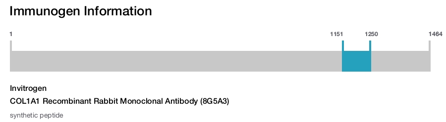 COL1A1 Recombinant Rabbit Monoclonal Antibody (8G5A3)