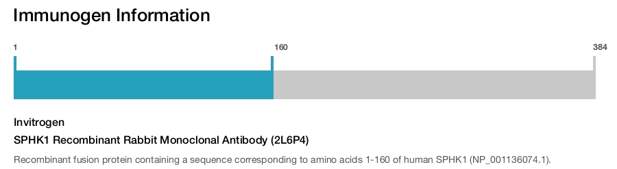 SPHK1 Recombinant Rabbit Monoclonal Antibody (2L6P4)
