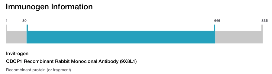 CDCP1 Recombinant Rabbit Monoclonal Antibody (9X8L1)