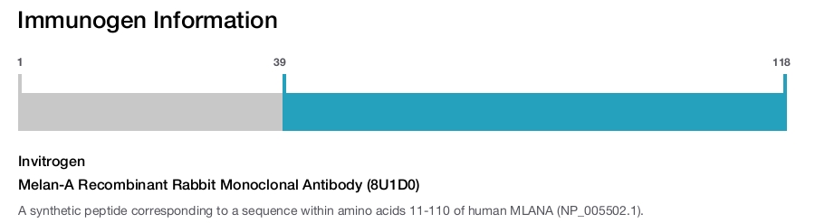 Melan-A Recombinant Rabbit Monoclonal Antibody (8U1D0)