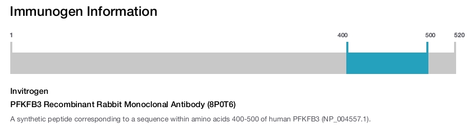 PFKFB3 Recombinant Rabbit Monoclonal Antibody (8P0T6)