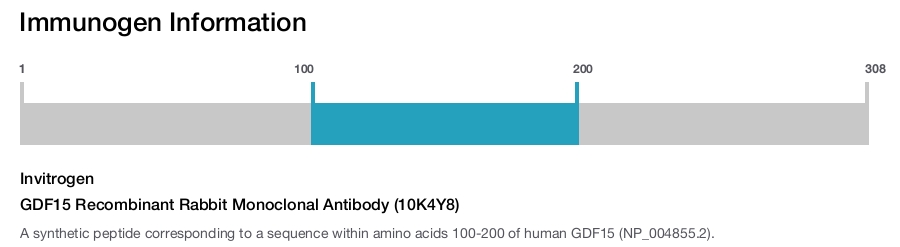 GDF15 Recombinant Rabbit Monoclonal Antibody (10K4Y8)