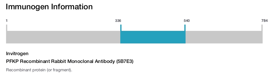 PFKP Recombinant Rabbit Monoclonal Antibody (5B7E3)