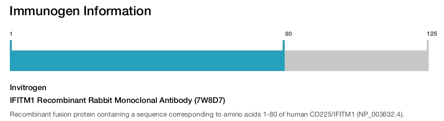 IFITM1 Recombinant Rabbit Monoclonal Antibody (7W8D7)