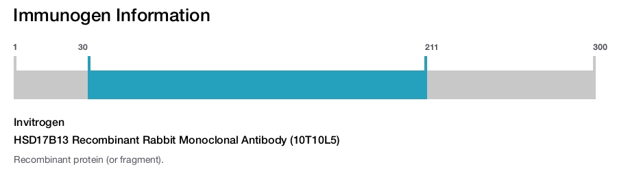 HSD17B13 Recombinant Rabbit Monoclonal Antibody (10T10L5)