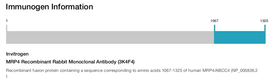 MRP4 Recombinant Rabbit Monoclonal Antibody (3K4F4)
